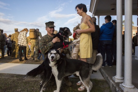 A dog greets his Marine owner.
